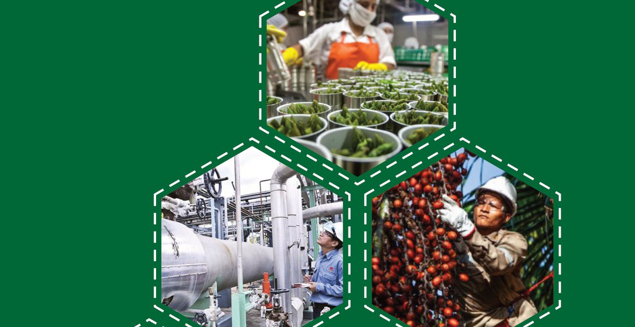 REVISTA DE INVESTIGACIÓN INDUSTRIAL DATA VOL 25 N° 2
